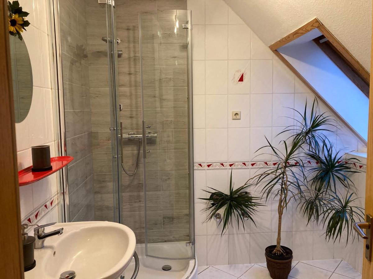 Appartamento Ferien In Sachsen *